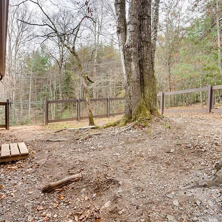 Peaceful Warne Cabin Fenced Yard And Screened Porch Brasstown Exterior photo
